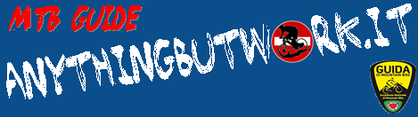 adesivo anythingbutwork senza qrcode